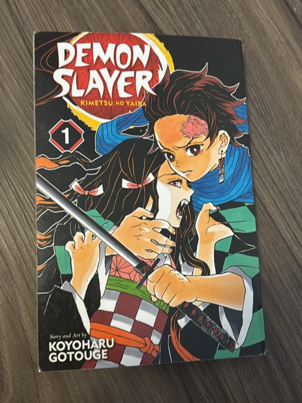 Demon Slayer Volume 1 Manga - Color Cover